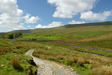 Scenery in Ribblesdale near Winterscale Beck in Yorkshire Dales