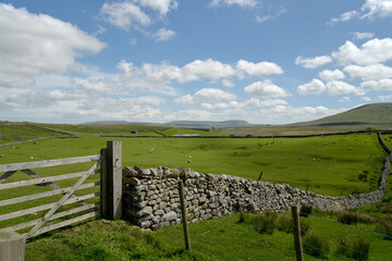 Scenery in Ribblesdale near Winterscale Beck in Yorkshire Dales