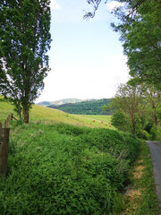 Obraz premium Landscape Photos from Hochsauerlandkreis NRW Germany