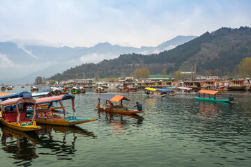 Fototapeta na wymiar Beautiful nature of Dal Lake (Kashmir, India)