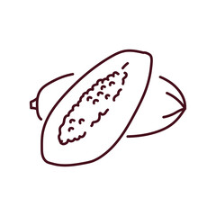 Papaya and half color line icon. Pictogram for web page