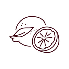 Lemon and half color line icon. Pictogram for web page