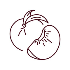 Peach and half color line icon. Pictogram for web page