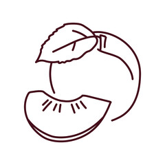 Plum and half color line icon. Pictogram for web page
