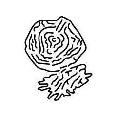 Cabbage color line icon. Natural vegetable.