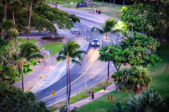 Hawaiian city landscape