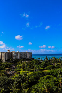 waikiki beach view