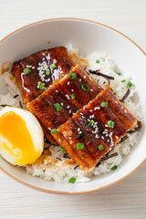 eel rice bowl or unagi rice bowl