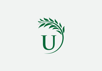Green leaf and laurel wreath logo design vector with the letter and alphabet U