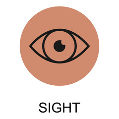 Human anatomy flat eye icon, sight health organ vector illustration, face part sign