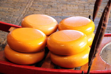 Cheese market in Alkmaar in the Netherlands