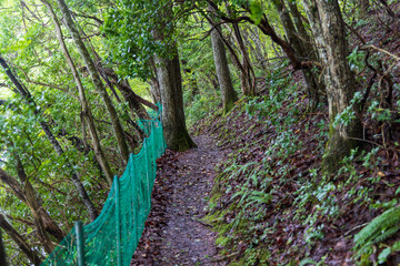 Obraz premium 日本の岡山県新見市の鯉が窪の美しい風景