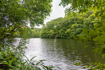 日本の岡山県新見市の鯉が窪の美しい風景