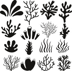 Doodle style seaweed oceanic floral aquarium tropical plant isolated Vector Silhouettes