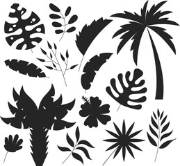 Jungle exotic flora tree palm leaves tropic plant set isolated Vector Silhouettes