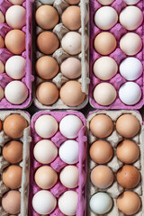 Open egg box with fresh organic multi colored eggs in carton cardboard packs or containers. Small farm in the countryside. Bio eggs in cell egg tray