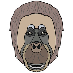 Orangutan head illustration, flat style logo. Cartoon image vector graphics.