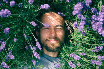 Portrait of young handsome bearded man lying among lavender flowers in blossom field. Happy smiling...