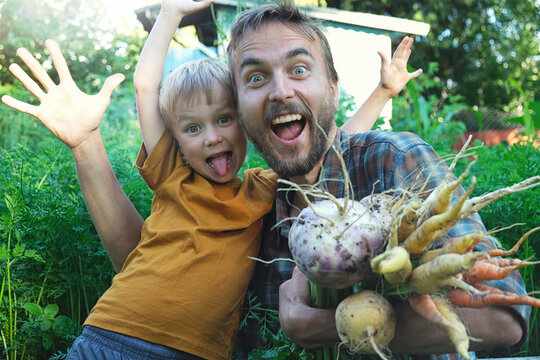 Funny Portrait Of Family Picking Seasonal Vegetables Carrots And Turnips From Local Garden. Father And Son Harvesting Crops Together. Sustainable Living, Permaculture, Homesteading.