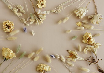 Dry flowers composition top view on beige background with copy space.