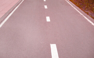 Close-up of an asphalt road with an intermittent marking line. Selective focus, pink tinting