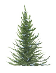 Watercolor illustration of Christmas trees.