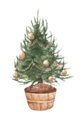 Watercolor illustration of Christmas trees in pot.