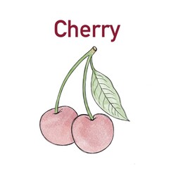 Juicy ripe cherries close-up watercolor drawing