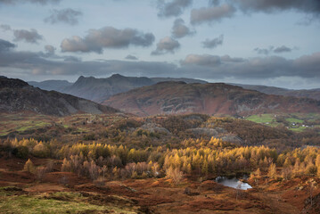 Majestic landscape image of stunning Autumn sunset light across Langdale Pikes looking from Holme...