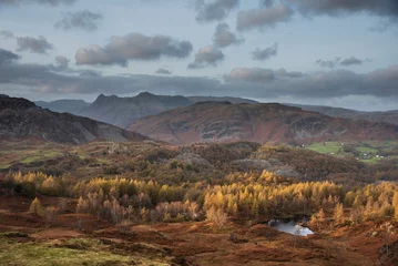 Foto op Plexiglas Majestic landscape image of stunning Autumn sunset light across Langdale Pikes looking from Holme Fell in Lake District © veneratio
