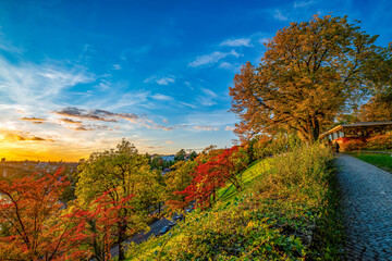 Picturesque alley on top of the hill in Rosengarten (Rose Garden) in center of Bern, Switzerland....