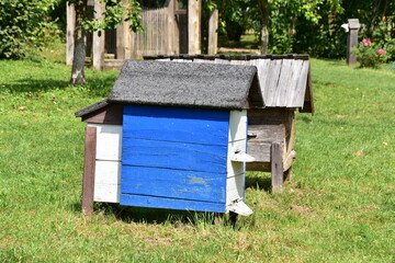 ule, pasieka, wieś, skansen, drewna, barć, pszczelarstwo, 