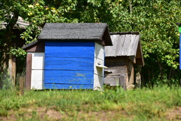 ule, pasieka, wieś, skansen, drewna, barć, pszczelarstwo,  © Albin Marciniak