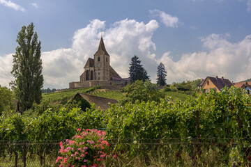 Naklejka premium Saint-Jacques-le-Majeur church in Hunawihr, Alsace, France