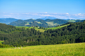 Fototapeta na wymiar Hügellandschaft Ötscherland
