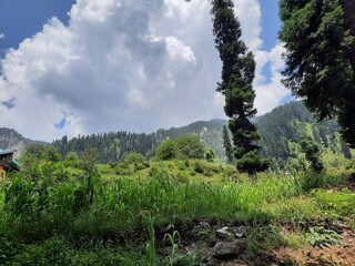 Natural beauty and wildlife of Kashmir Pakistan