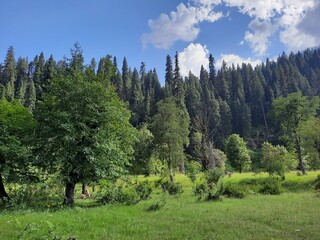 Natural beauty and wildlife of Kashmir Pakistan