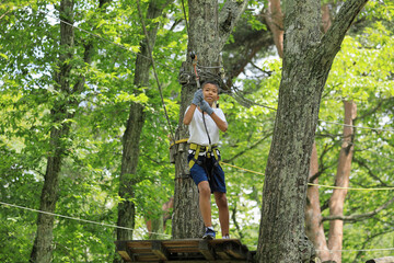 Naklejka na ściany i meble 木の上のアスレチックのジップラインで遊ぶ男子中学生 (12歳)