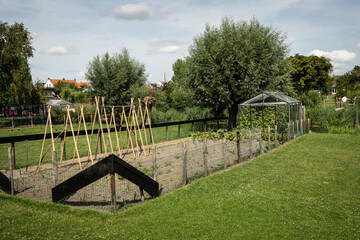 An area of a private garden has been cleared to use as a vegetable patch where they grow their own...