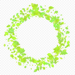 Leaves Falling Spring Flying Foliage Green Leaf