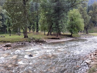 Natural beauty and wildlife of Kashmir Pakistan