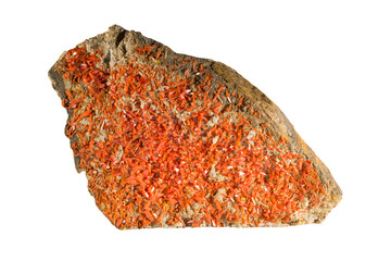 A sample of a natural mineral Crocoite (chromate class) brush orange prismatic crystals on berezit...