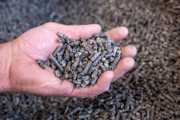 Alimentation des bovins.. Poignée de granulés pulpe de betterave déshydratée