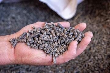Alimentation des bovins.. Poignée de granulés pulpe de betterave déshydratée