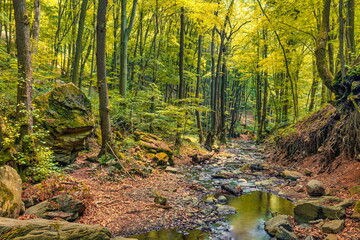 Obraz premium Autumn creek woodland with sunny yellow trees foliage rocks in forest mountain. Idyllic travel hiking landscape, beautiful seasonal autumn nature. Amazing dream scenic colorful outdoor inspire nature