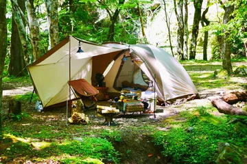 Fotobehang camping in the forest © 悠太 野田
