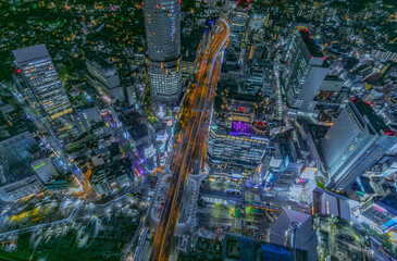 光に溢れる東京の夜景