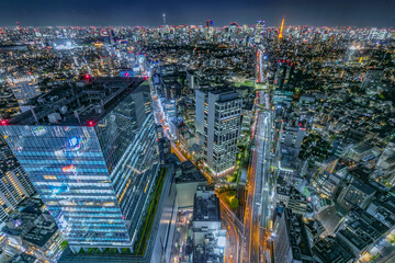 東京の渋谷から見える夜景