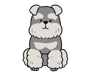 おすわりしているシュナウザー