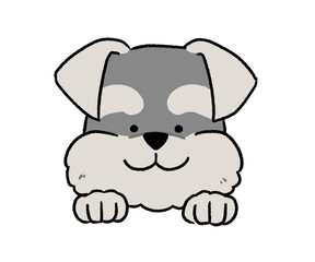 シュナウザーの顔